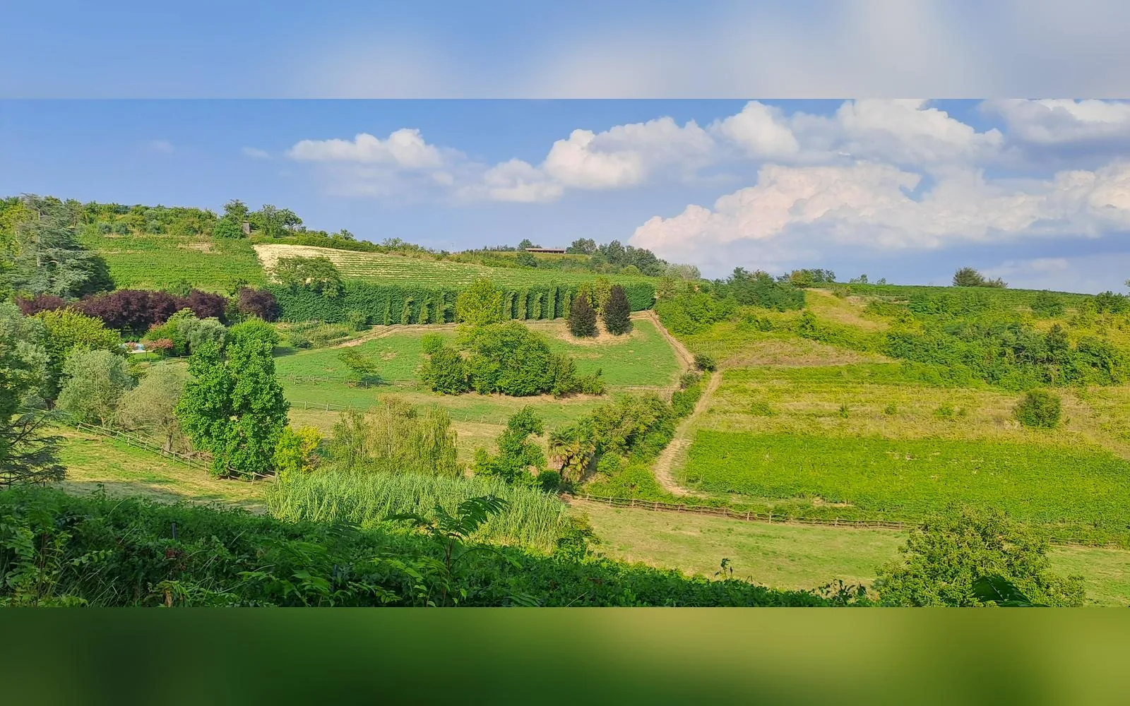 Esterni di Tenuta Beatrice, Castell'Alfero (Piemonte) (foto 2)