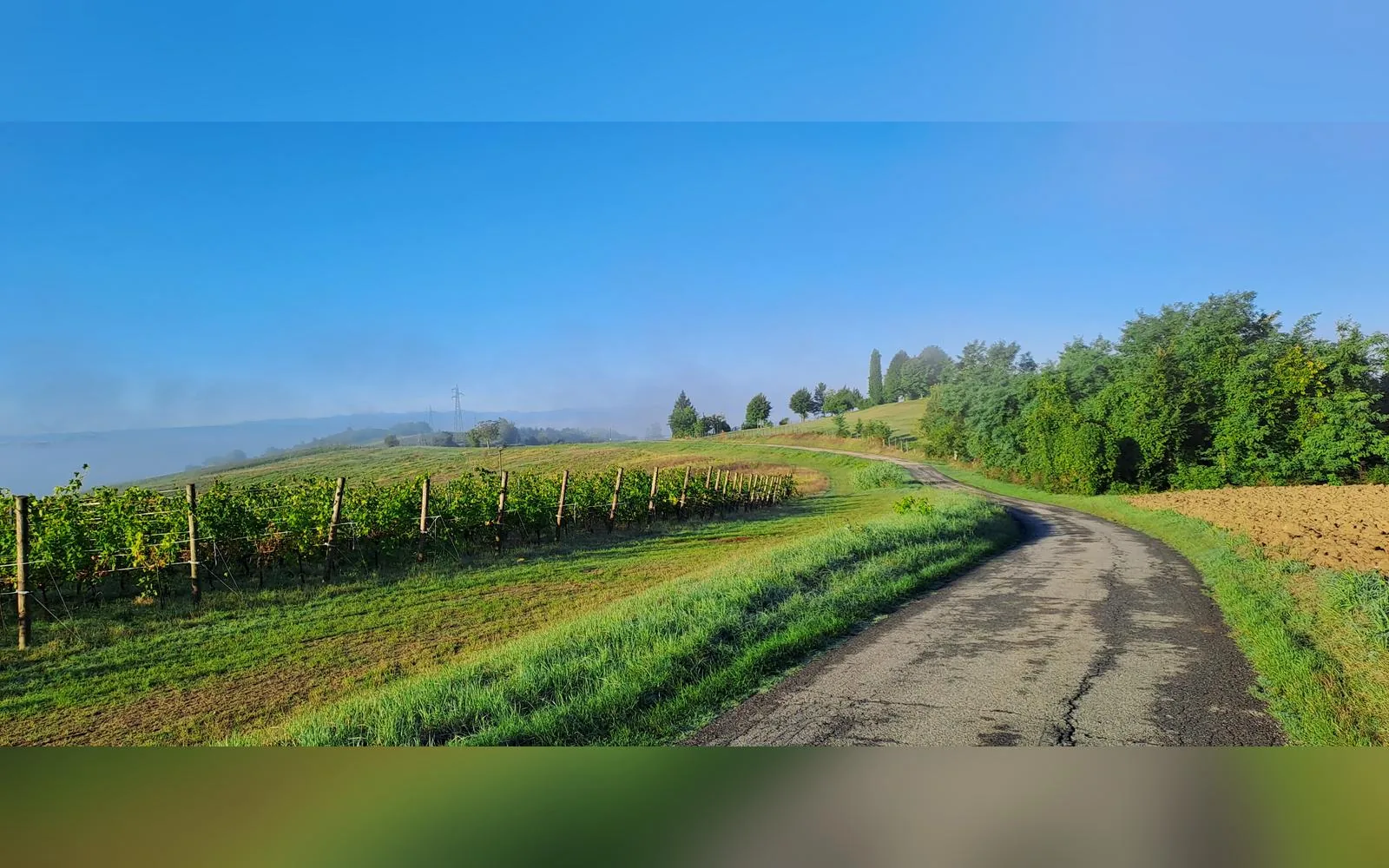 Esterni di Tenuta Beatrice, Castell'Alfero (Piemonte) (foto 3)